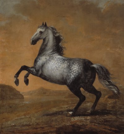 Pieni englantilainen, kuningas Karl XI:n (1655-97) hevonen tekijältä David Klöcker Ehrenstrahl