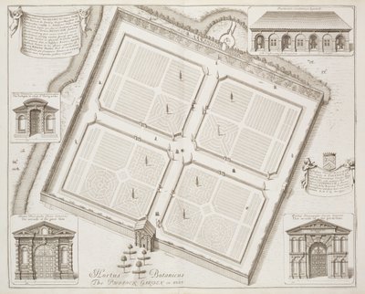 Hortus Botanicus, The Physick Garden, Oxon, Oxonia Illustratasta, julkaistu 1675 tekijältä David Loggan