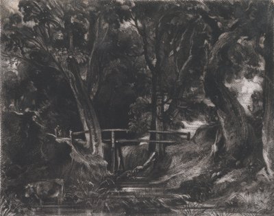 Dell, Helmingham Park, Suffolk, 1830. tekijältä David Lucas