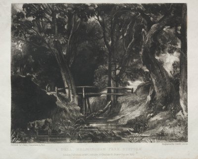 Erilaisia maisema-aiheita, tyypillisiä englantilaisille maisemille kuvista, jotka on maalannut John Constable, R.A.: Dell in the Woods of Helmingham Park, Suffolk tekijältä David Lucas