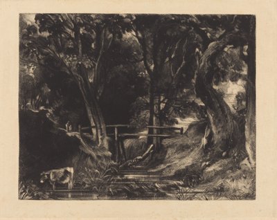 Dell, Helmingham Park, Suffolk tekijältä David Lucas after John Constable