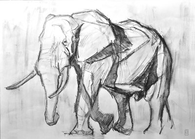 African Bull Elephant, 2019 (hiili paperilla) tekijältä David Mayer