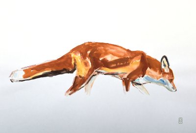 Red Fox, 2020 (akvarelli ja värikynä) tekijältä David Mayer