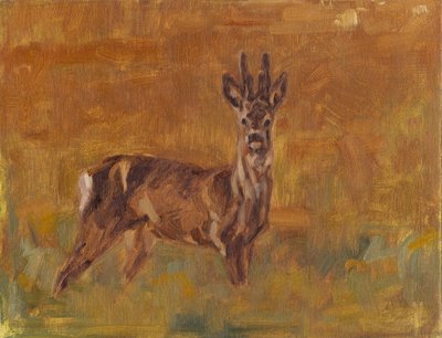 Roe Buck, 2021 tekijältä David Mayer