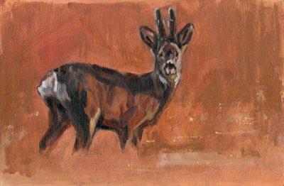 Roe Buck, 2021 tekijältä David Mayer
