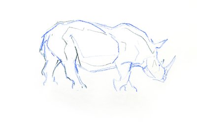 Valkoinen sarvikuono, 2020 (kynä paperille) tekijältä David Mayer