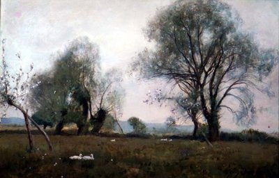 Alhaalla niityillä tekijältä David Murray