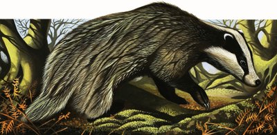 Herra ja rouva Badger kotona tekijältä David Pratt