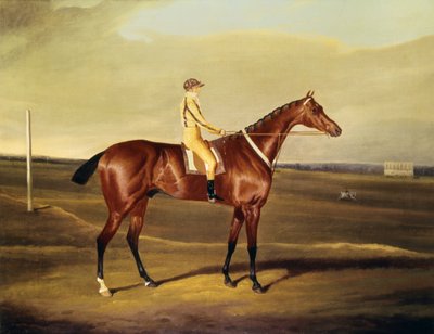 Huonekalut ja erilaiset esineet 1100- ja 1300-luvuilta tekijältä David of York Dalby