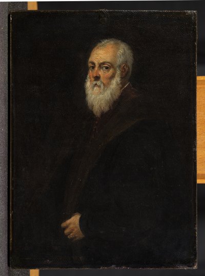 Parrakkaan miehen muotokuva Jacopo Tintoretton mukaan tekijältä David Teniers the Younger