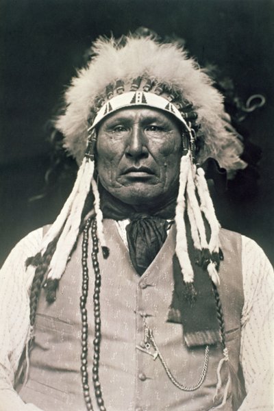 Puujalka, pohjoisen Cheyennen soturi, joka taisteli Little Bighornin taistelussa vuonna 1876 tekijältä DeLancey W. Gill