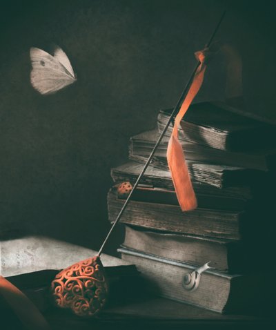 Dark Academia -perhonen tekijältä Delphine Devos