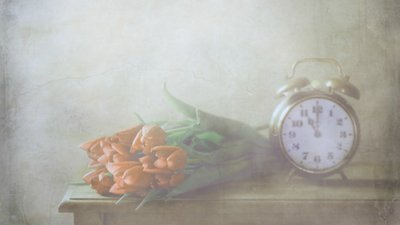 Upeat tulppaanit ja aika tekijältä Delphine Devos