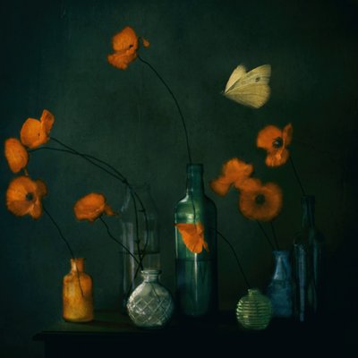 Moody Poppies -perhonen tekijältä Delphine Devos