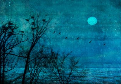 Kuunvalossa loistava talvipesä tekijältä Delphine Devos