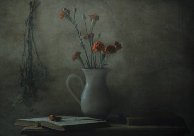 Hiljainen neilikkaseteli tekijältä Delphine Devos