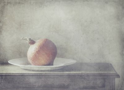 Maalaishenkinen kurpitsa-asetelma tekijältä Delphine Devos