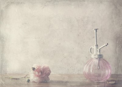 Vintage Pink Rose -hajuvesi tekijältä Delphine Devos