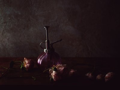 Vintage Rose Mister tekijältä Delphine Devos