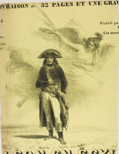 Napoleon Egyptissä tekijältä Denis Auguste Marie Raffet