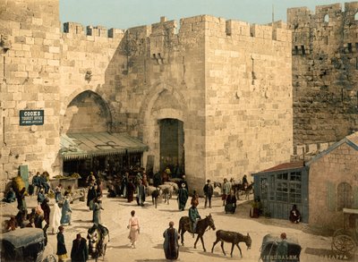 Jaffa-portti, Jerusalem, Pyhä maa, n. 1890–1900 (valokuvatulostus) tekijältä Detroit Photographic Co.