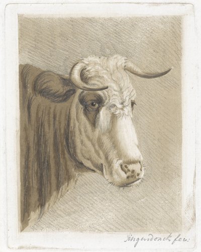 keksikuppi tekijältä Diederik Jan Singendonck (signed by artist)