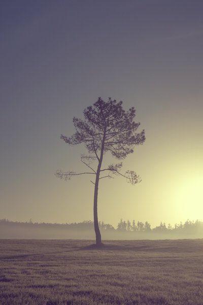  tekijältä Diego Beyro