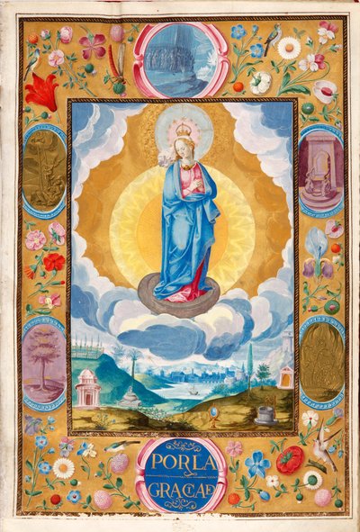 Immacule Conception Arias Pardo de Celan ritarillisuuden täytäntöönpanokelpoisessa peruskirjassa tekijältä Diego Gómez