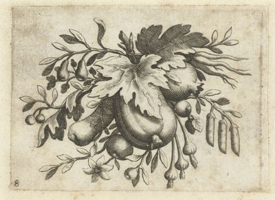 Festoen van Vrutten Matkustamiseen hyödyllinen pieni hedelmäkirja (sarjan nimi) tekijältä Dietrich Krüger (attributed to)