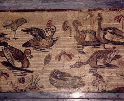 Roomalainen mosaiikki Pompejista ankoista ja sammakoista vesipuutarhassa, 1. vuosisadalla tekijältä Dioscurides of Samos