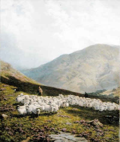 Shepherd and Sheep, Perthshire (öljy kankaalle) tekijältä Dixon Clark