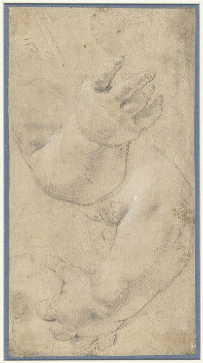 Kahden lapsen käsivarren tutkimus tekijältä Domenichino