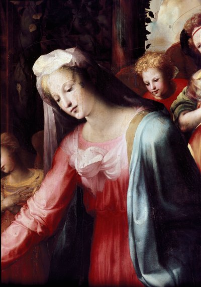 Neitsyt syntymä, yksityiskohta. Domenico Beccafumin (1486-1551) maalaus tekijältä Domenico Beccafumi