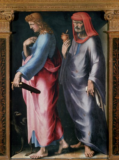 Kolminaisuuden triptyykki, Yksityiskohta oikea paneeli (Pyhä Johannes evankelista ja Pyhä Damien). Domenico Beccafumin (1486-1551) maalaus tekijältä Domenico Beccafumi
