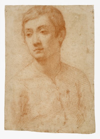 Nuoren pää, n. 1600-25 (punainen liitu paperille) tekijältä Domenico Cresti