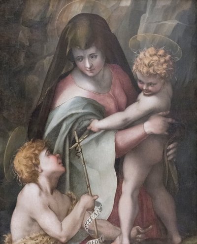 Madonna ja lapsi Nuoren St Johnin kanssa, Domenico Puligo (öljy paneelissa) tekijältä Domenico Puligo
