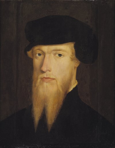 Eric XIV de Suede - Muotokuva Ruotsin kuninkaan Eric XIV:stä tekijältä Domenicus Verwilt