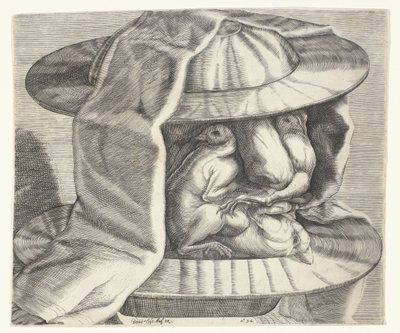 Groteski pää kypärällä Arcimboldon tyyliin Groteski pää, jossa kypärä Arcimboldon tyyliin tekijältä Dominicus Custos