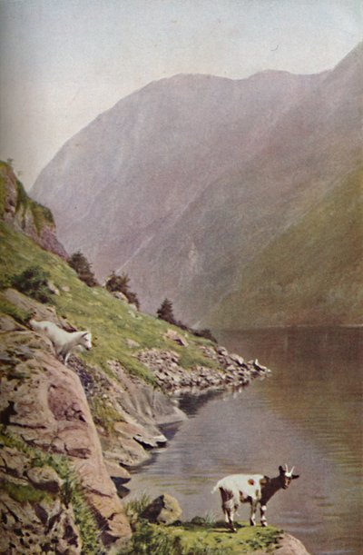 Norja, 1930-luku tekijältä Donald McLeish