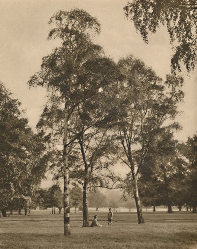 The Lace-Work of the Leaves: A Summer Morning in Hyde Park, vuodelta 1935. tekijältä Donald McLeish