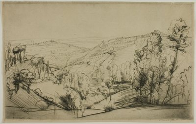 San Gimignanon kentät tekijältä Donald Shaw MacLaughlan