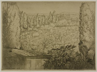 Toscana tekijältä Donald Shaw MacLaughlan