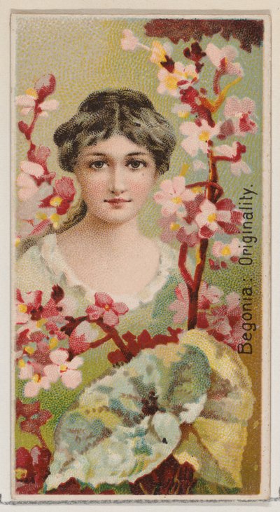 Begonia: Originality, sarjasta Floral Beauties and Language of Flowers N75 for Du..., 1892. tekijältä Donaldson Brothers