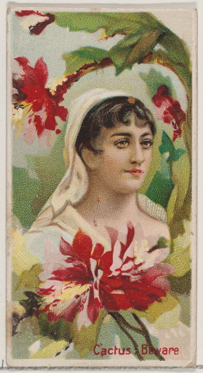 Cactus: Varo, sarjasta Floral Beauties and Language of Flowers N75 for Duke bra..., 1892. tekijältä Donaldson Brothers