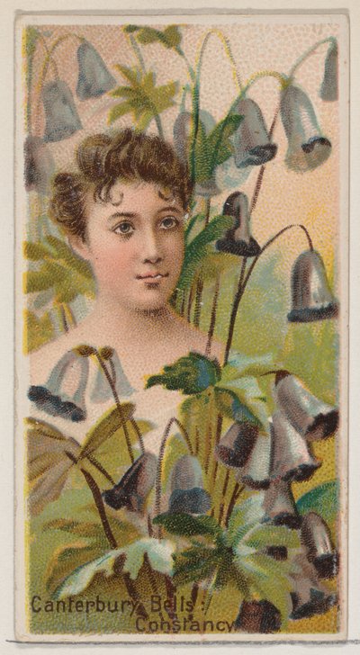 Canterbury Bells: Constancy, sarjasta Floral Beauties and Language of Flowers N75..., 1892. tekijältä Donaldson Brothers