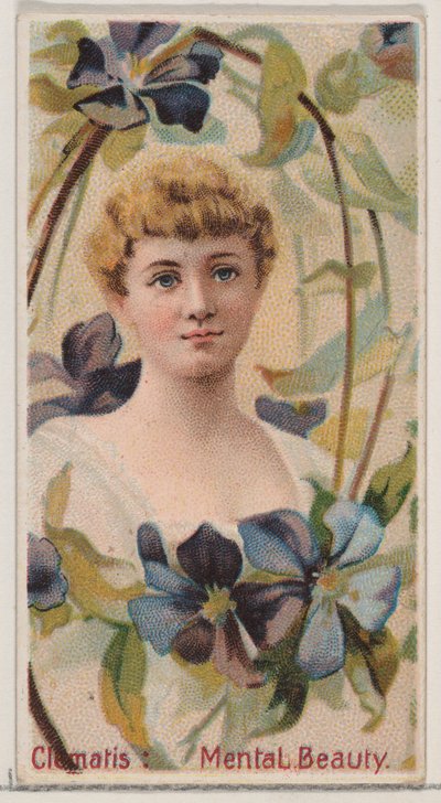 Clematis: Mental Beauty, sarjasta Floral Beauties and Language of Flowers N75 for..., 1892. tekijältä Donaldson Brothers