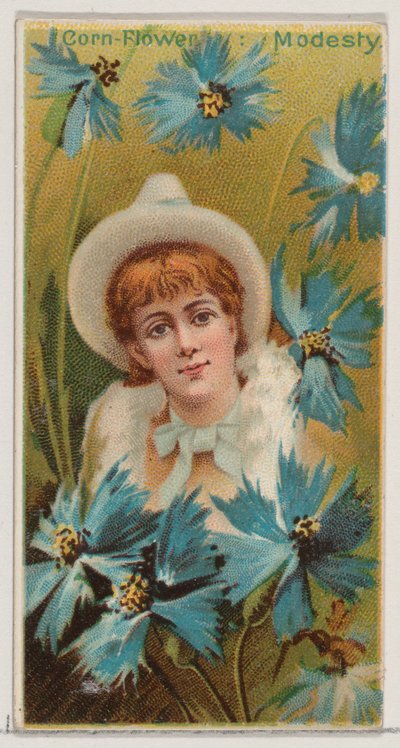Ruiskukka: Modesty, sarjasta Floral Beauties and Language of Flowers N75 for Duk..., 1892. tekijältä Donaldson Brothers
