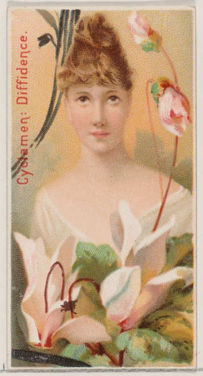 Cyclamen: Diffidence, sarjasta Floral Beauties and Language of Flowers N75 for Du..., 1892. tekijältä Donaldson Brothers