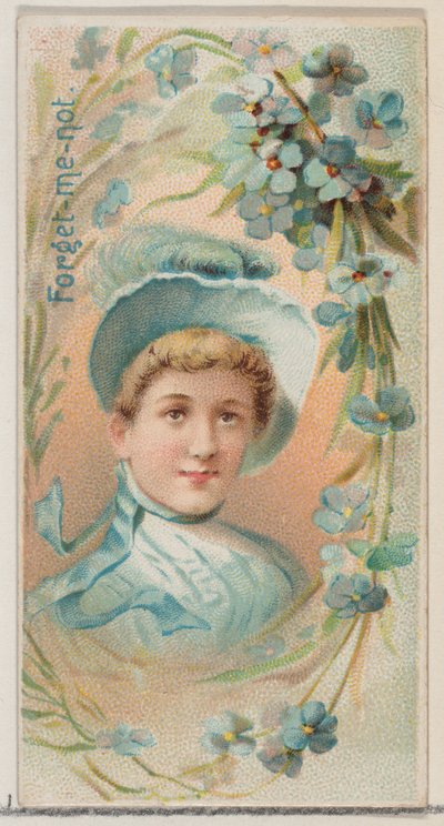 Forget-Me-Not, sarjasta Floral Beauties and Language of Flowers N75 Duke bran..., 1892. tekijältä Donaldson Brothers