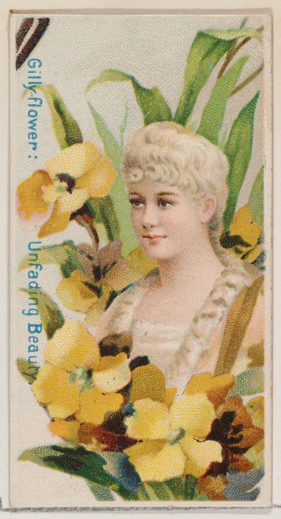 Gilly-flower: Unfading Beauty, sarjasta Floral Beauties and Language of Flowers N7..., 1892. tekijältä Donaldson Brothers
